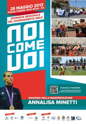 noicomevoi 2013 web