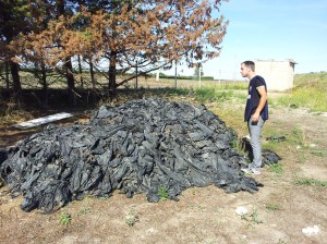 Un volontario dell'Ass.Naz.Carabinieri nell'area interessata