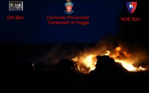 I rifiuti bruciati nelle campagne di Ordona