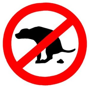 Divieto escrementi animali anche ad Orta Nova, immagine di repertorio