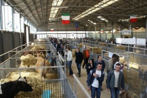 Un padiglione della Fiera di Foggia