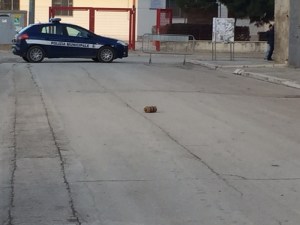 L'ordigno in Via dei Mille