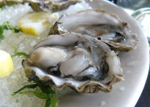 Un piatto a base di ostriche