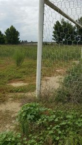 Il campo sportivo Francesco Paolo Di Gioio di Carapelle