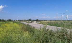 La Strada Provinciale 81 che collega Orta Nova a Carapelle