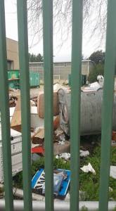 La foto pubblicata su Facebook dal consigliere Annese