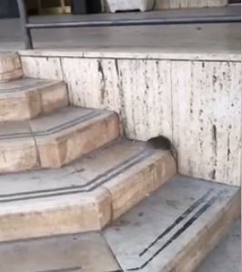 Il topo avvistato davanti al municipio di Orta Nova