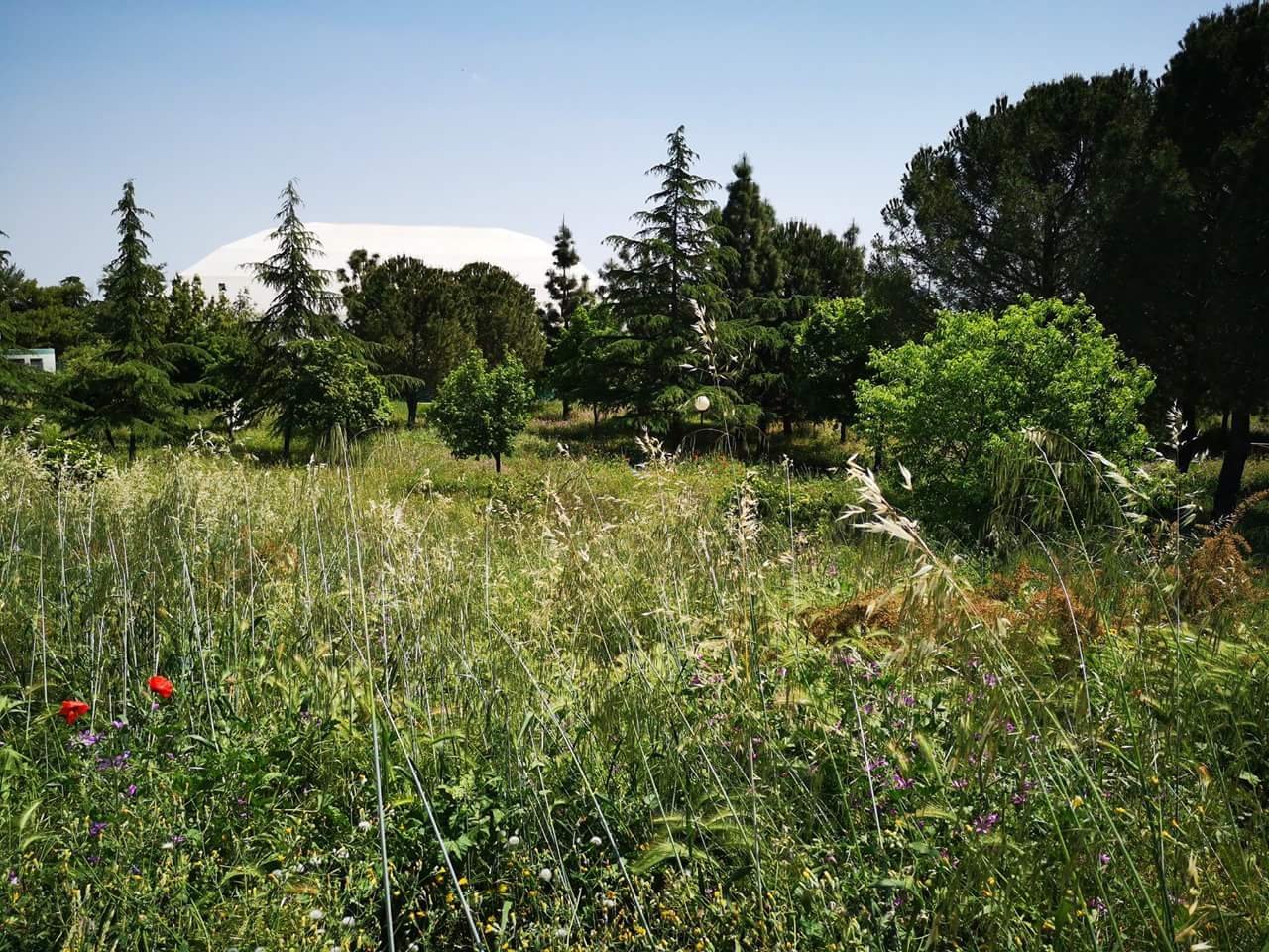 L'interno della villa comunale